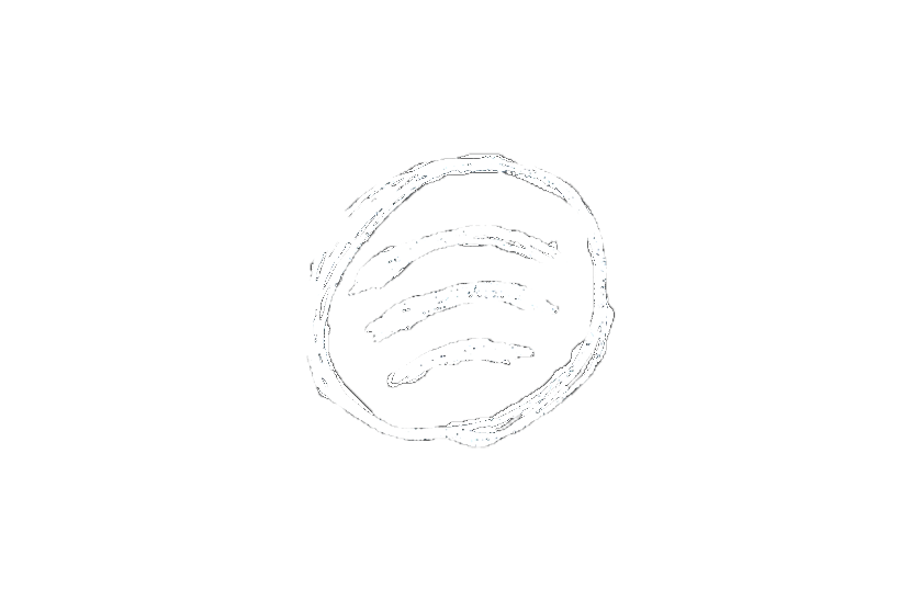 Länk till Spotify