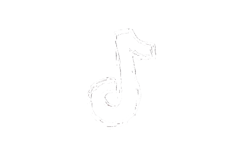 Länk till TikTok